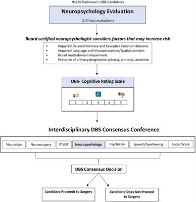 The UF Deep Brain Stimulation Cognitive Rating Scale (DBS-CRS): Clinical Decision Making, Validity, and Outcomes